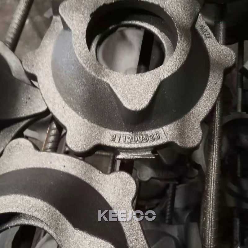 Double Hook Hanger Type Shot Blasting Machine Sa3.0 for Castings Forging Parts