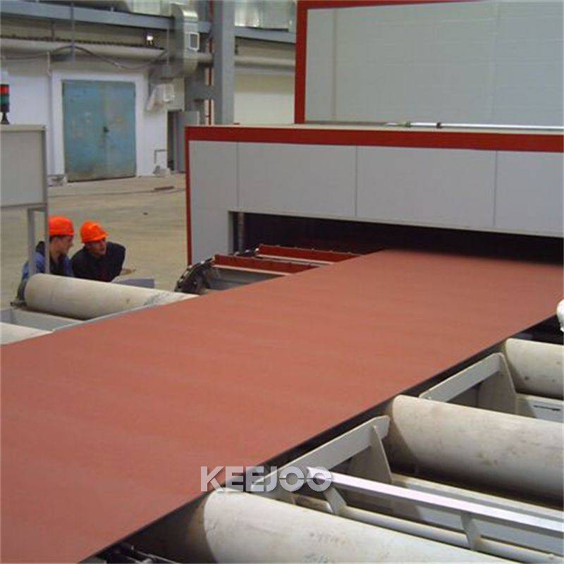 Pretreatment ISO9001 Steel Plate Shot Blasting Machine Steel Plate Cleaning
